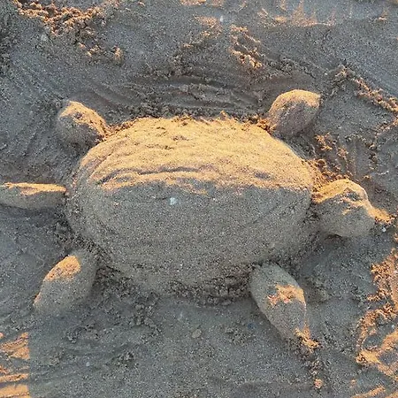 Appartamento Holiday Park Home *