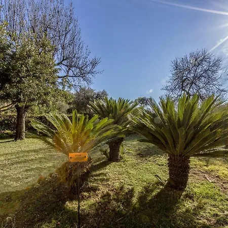 Appartamento Holiday Park Home *